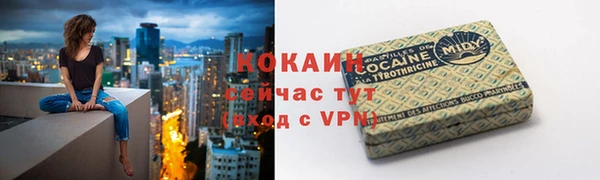 сатива Балахна