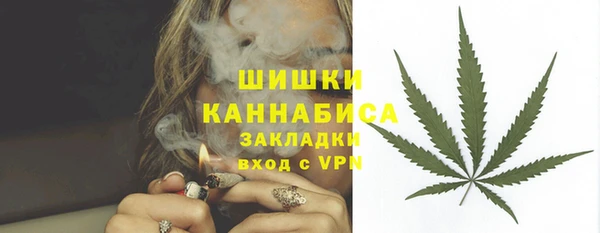 сатива Балахна