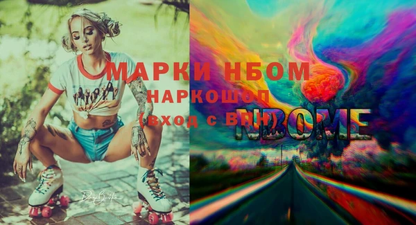 индика Баксан