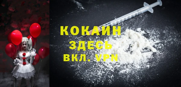 индика Баксан