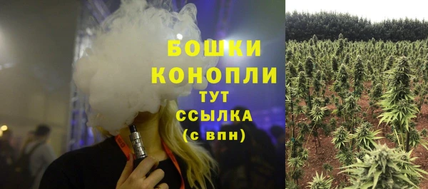 индика Баксан